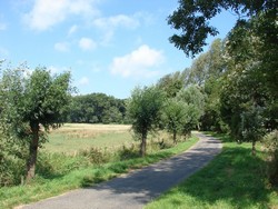 fietsen in zeeland